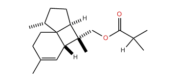 Italicen-12-yl isobutyrate